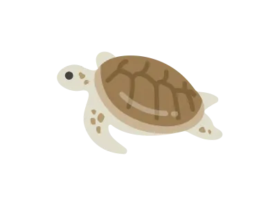ウミガメのアイコンのイラスト