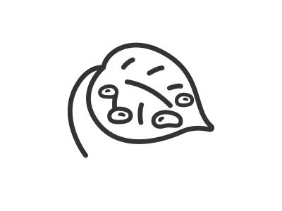 水滴のついた葉っぱのアイコンのイラスト