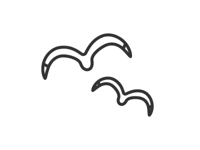 飛んでいるカモメのアイコンのイラスト