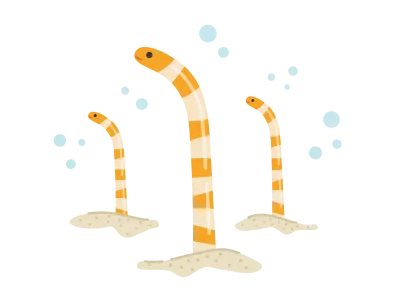 ニシキアナゴのイラスト