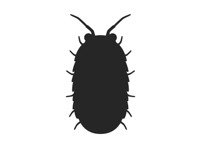 ダンゴムシのシルエットのイラスト