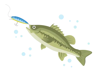 青色のルアーで釣るブラックバスのイラスト