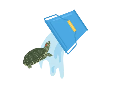 ミシシッピアカミミガメの放流のイラスト