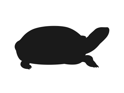 亀のシルエットイラスト