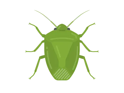 緑色のカメムシのイラスト