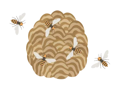 スズメバチと蜂の巣のイラスト