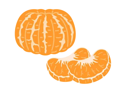 みかんの実のイラスト