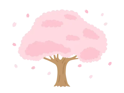 満開の桜の木のイラスト