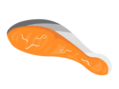 鮭に寄生したアニサキスのイラスト