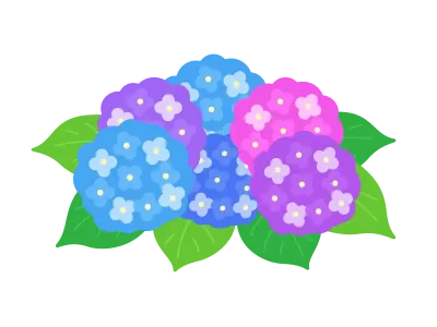 紫陽花の花のイラスト