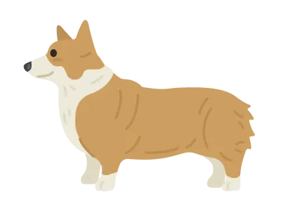コーギー犬のイラスト