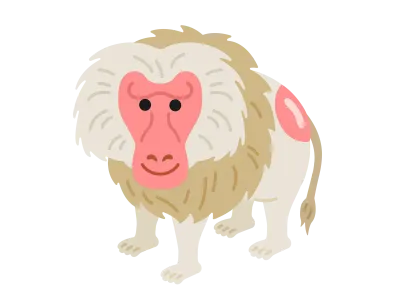 マントヒヒのイラスト