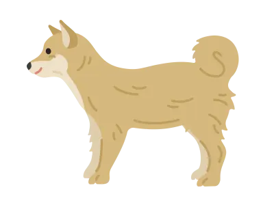 柴犬のイラスト