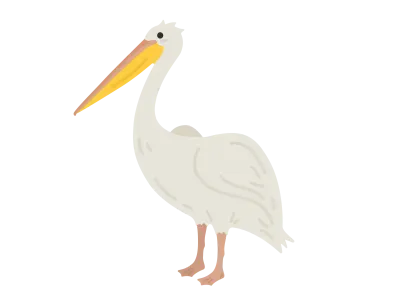 ペリカンのイラスト