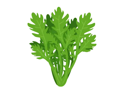 春菊のイラスト