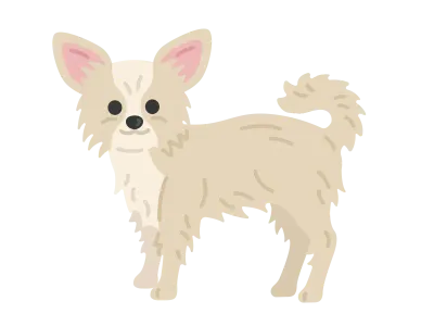 チワワ犬のイラスト
