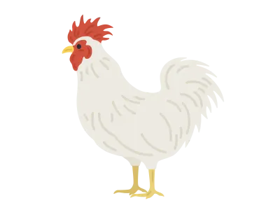 雄の鶏のイラスト