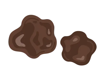 キクラゲのイラスト