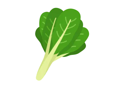 小松菜の野菜のイラスト