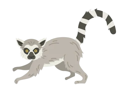 キツネザルのイラスト