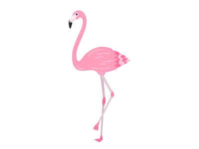 フラミンゴのイラスト