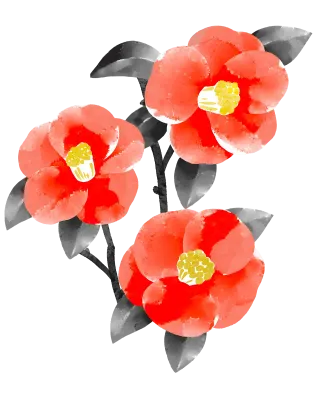 椿の水彩画イラスト