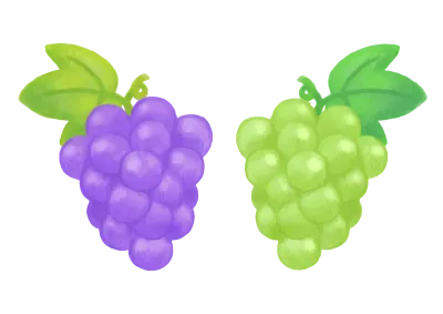 色鉛筆手描き秋の食材ぶどうイラスト