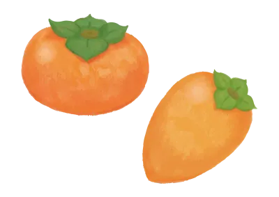 色鉛筆手描き秋の食材柿イラスト