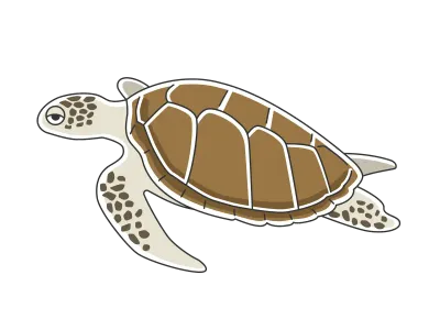 泳いでいるウミガメのイラスト