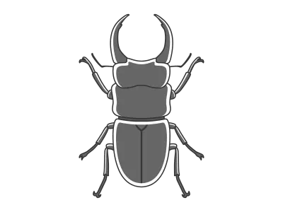 日本のクワガタムシのイラスト