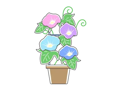 植木鉢で育てている朝顔のイラスト
