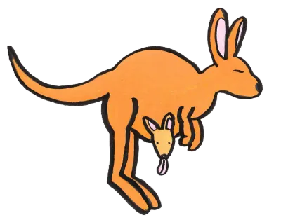 orange kangaroo