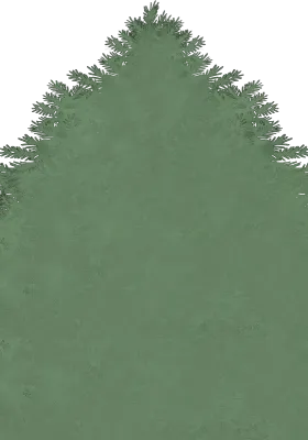 크리스마스 트리 일러스트