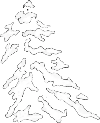 트리 위 쌓인 눈