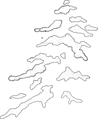 트리 위 쌓인 눈