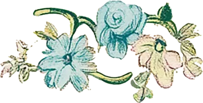 보테니컬 수채화 꽃 그림