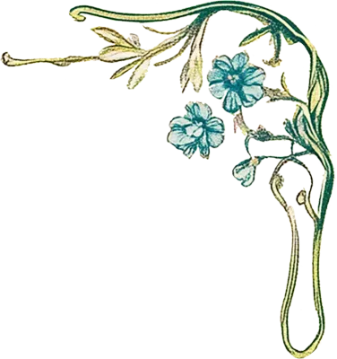 보테니컬 수채화 꽃 그림