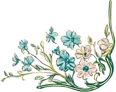 보테니컬 수채화 꽃 그림