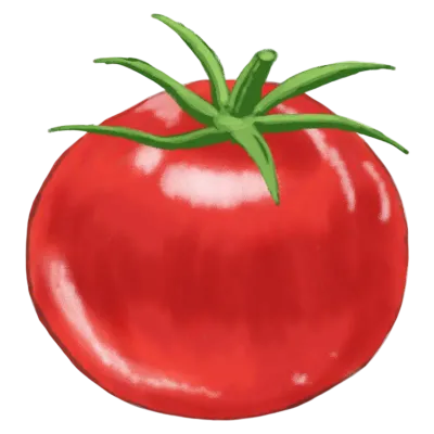 tomato