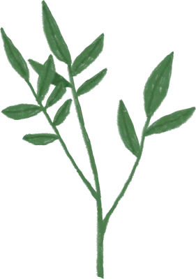 色鉛筆で描いた緑の葉のイラスト