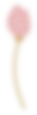 블러와 그레인 질감의 꽃