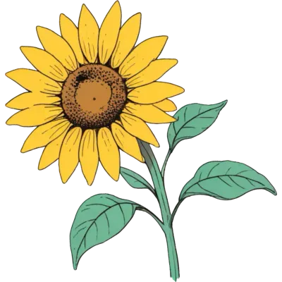 해바라기