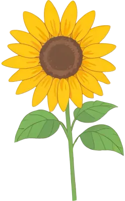 해바라기