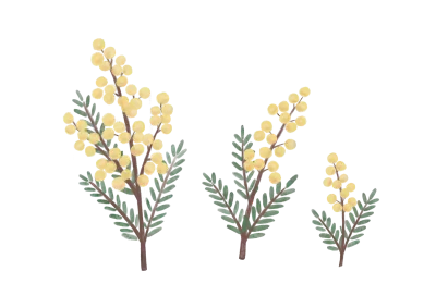 ナチュラル素朴にかわいい水彩手描き風ミモザのイラスト
