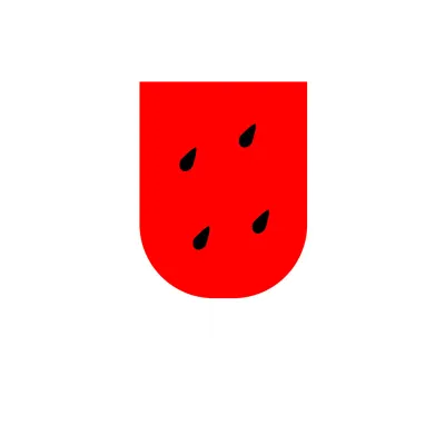 씨 있는 수박 스무디