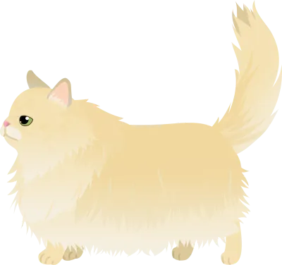 Long-haired cat, gold Persian, walking with its tail up