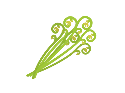 山菜のワラビのイラスト