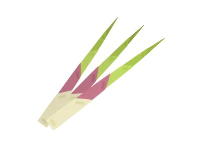 山菜の根曲がり竹のイラスト