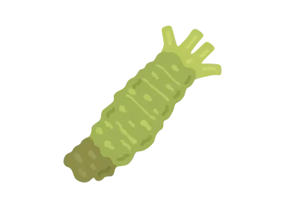 山菜のワサビのイラスト