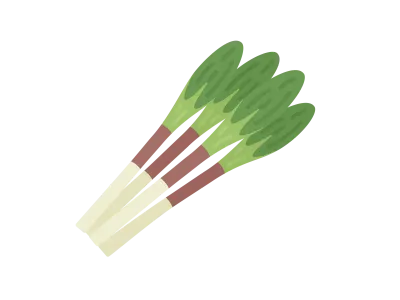 山菜の行者にんにくのイラスト